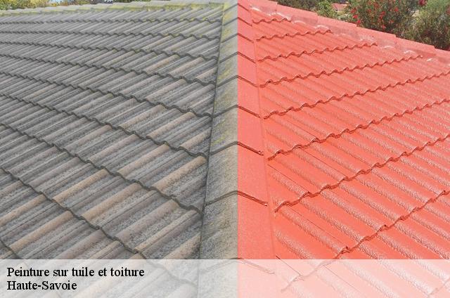 Peinture sur tuile Haute-Savoie