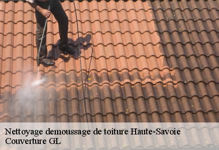 Nettoyage demoussage de toiture 74 Haute-Savoie Couvreur FC Toiture