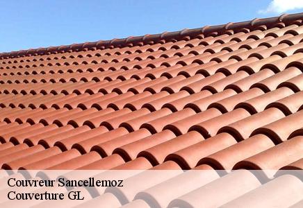 Couvreur sancellemoz-74480