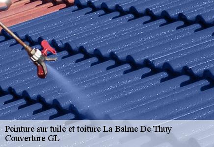 Peinture sur tuile et toiture  la-balme-de-thuy-74230 Couvreur FC Toiture