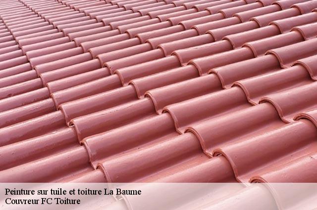 Peinture sur tuile et toiture  la-baume-74430 Couvreur FC Toiture