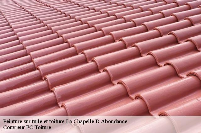 Peinture sur tuile et toiture  la-chapelle-d-abondance-74360 Couvreur FC Toiture