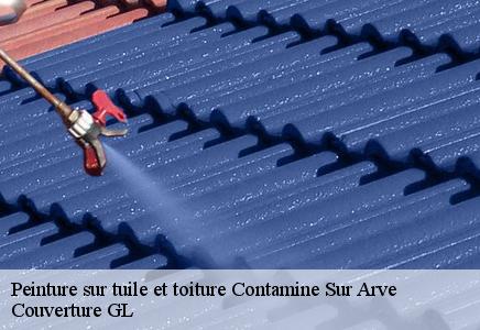 Peinture sur tuile et toiture contamine-sur-arve-74130 Couvreur FC Toiture