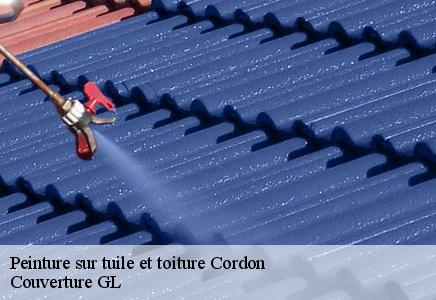 Peinture sur tuile et toiture cordon-74700 Couvreur FC Toiture