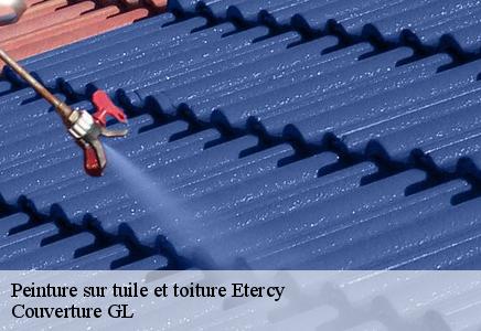 Peinture sur tuile et toiture etercy-74150 Couvreur FC Toiture