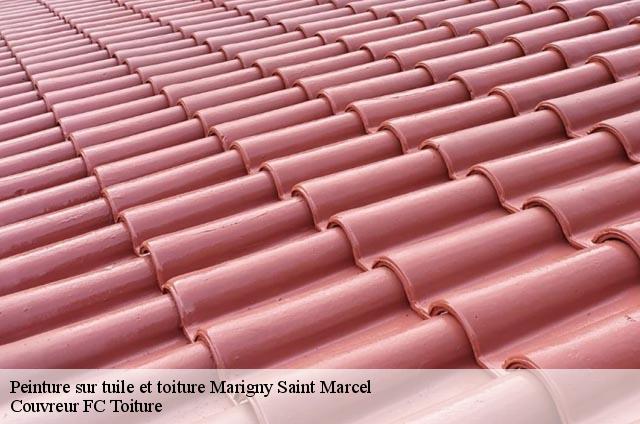 Peinture sur tuile et toiture  marigny-saint-marcel-74150 Couvreur FC Toiture