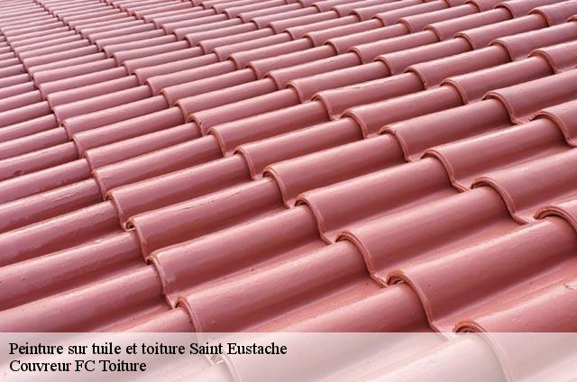 Peinture sur tuile et toiture  saint-eustache-74410 Couvreur FC Toiture
