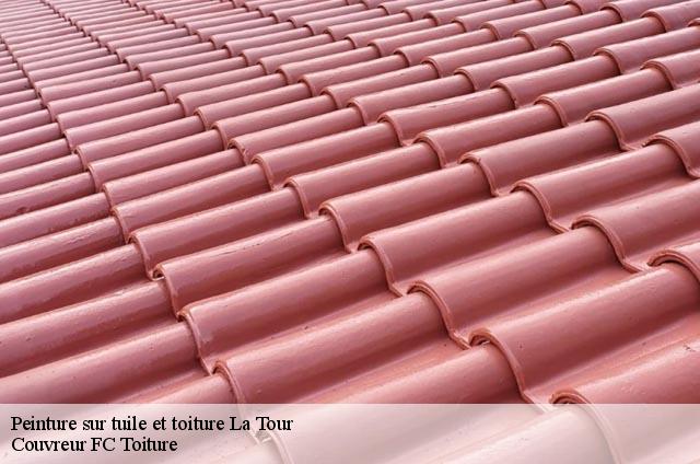 Peinture sur tuile et toiture  la-tour-74250 Couvreur FC Toiture