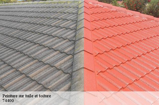 Peinture sur tuile et toiture 74400
