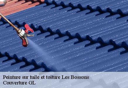 Peinture sur tuile et toiture les-bossons-74400 Couvreur FC Toiture