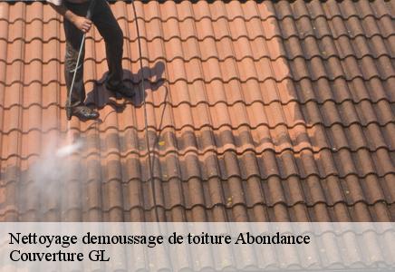 Nettoyage demoussage de toiture  abondance-74360 Couvreur FC Toiture