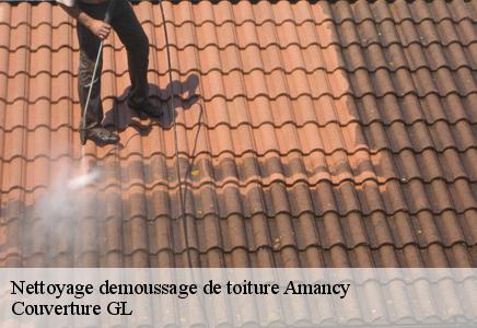 Nettoyage demoussage de toiture  amancy-74800 Couvreur FC Toiture