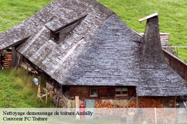 Nettoyage demoussage de toiture  ambilly-74100 Couvreur FC Toiture