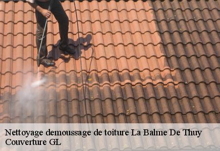 Nettoyage demoussage de toiture  la-balme-de-thuy-74230 Couvreur FC Toiture