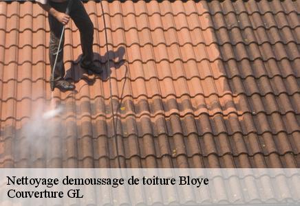 Nettoyage demoussage de toiture  bloye-74150 Couvreur FC Toiture