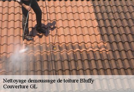 Nettoyage demoussage de toiture bluffy-74290 Couvreur FC Toiture
