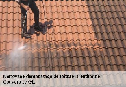 Nettoyage demoussage de toiture  brenthonne-74890 Couvreur FC Toiture