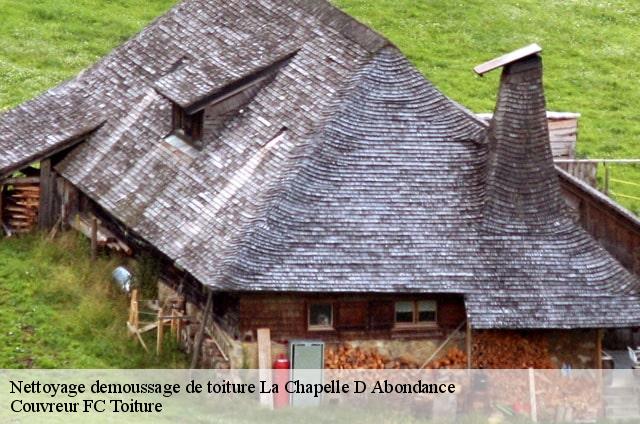 Nettoyage demoussage de toiture  la-chapelle-d-abondance-74360 Couvreur FC Toiture