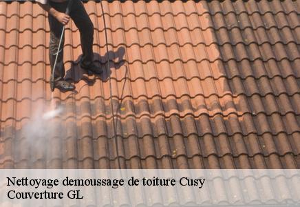 Nettoyage demoussage de toiture cusy-74540 Couvreur FC Toiture