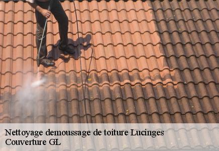 Nettoyage demoussage de toiture lucinges-74380 Couvreur FC Toiture
