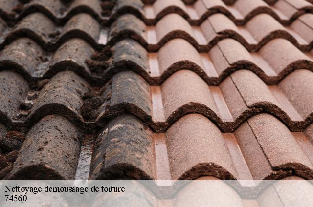 Nettoyage demoussage de toiture 74560