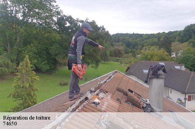Réparation de toiture  74650
