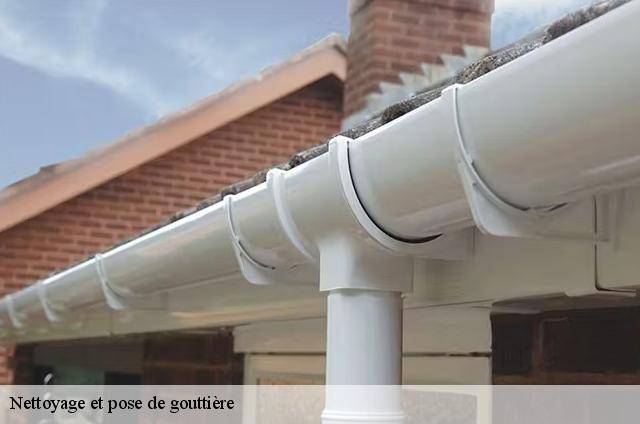 Nettoyage et pose de gouttière  74700