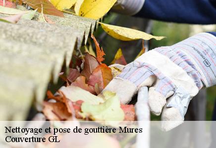 Nettoyage et pose de gouttière  mures-74540 Couverture GL