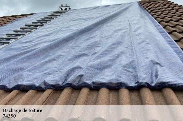 Bachage de toiture  74350
