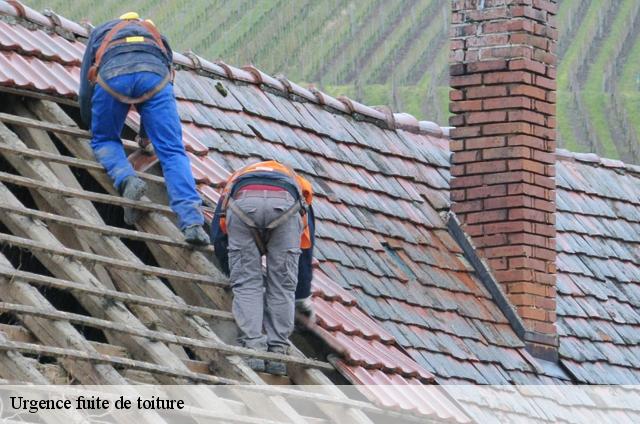 Urgence fuite de toiture  74400