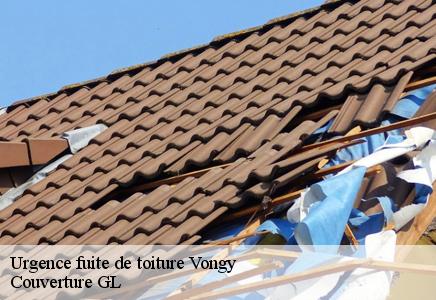 Urgence fuite de toiture  vongy-74200 Couverture GL